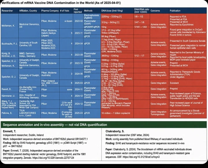 Summary table titled Verifications of mRNA Vaccine DNA Contamination in the World as of 2025-04-01, listing each research team with methods, vials tested, DNA per dose against the 10 ng limit and DNA:RNA ratio against the 1/2000 limit, with a lower section on sequence annotation work including the BNT162b2 plasmid SV40 footprint