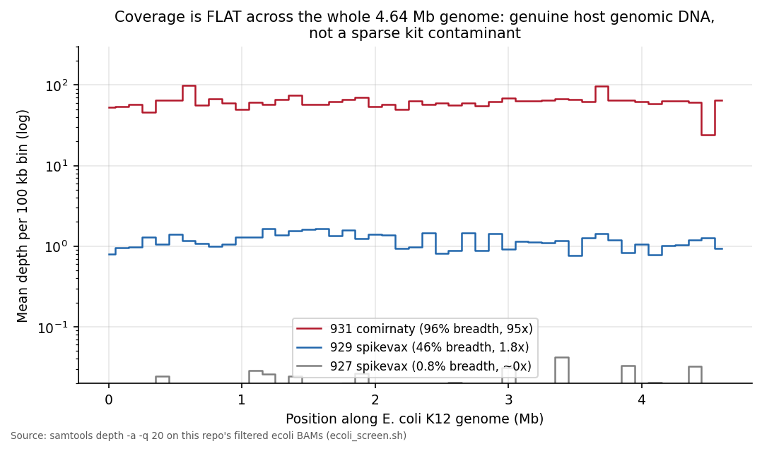 Depth per 100 kb bin along the whole E. coli genome for three representative lots