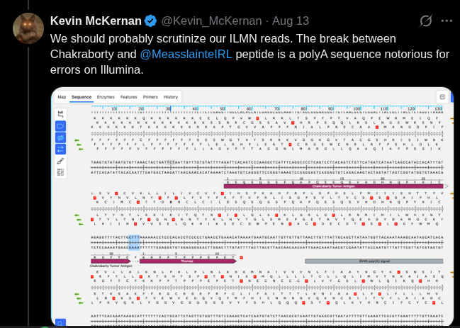 Sequence editor screenshot with the purple-highlighted polyA region at the Chakraborty and MeasslainteIRL peptide boundary, posted by Kevin McKernan on 13 August 2026