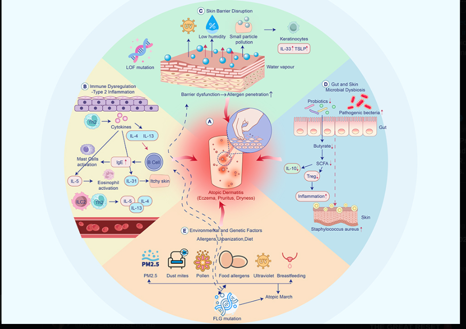 Gut health foundations