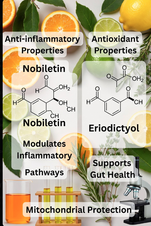 Nobiletin and Eriodictyol: Potent Citrus Flavonoids for Inflammation and Cellular Defense