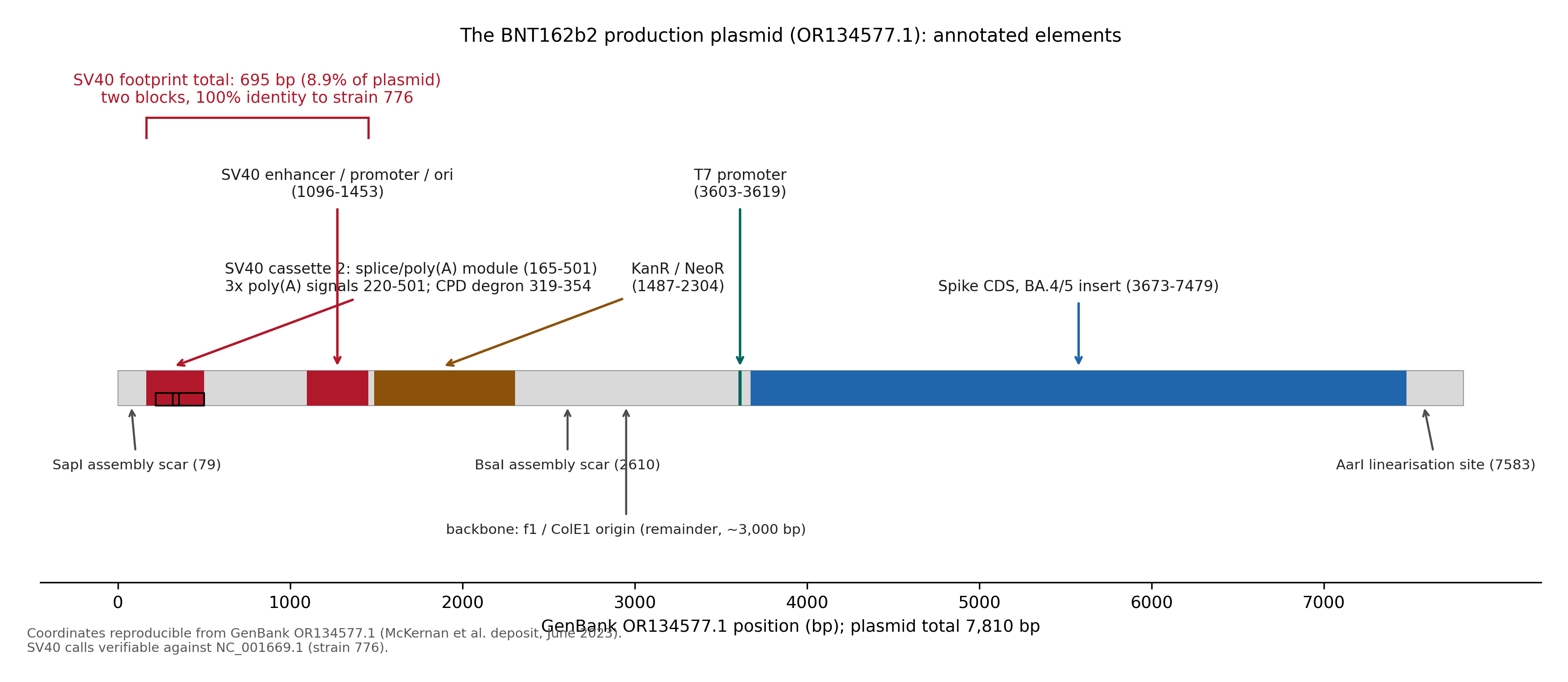 Linear map of the BNT162b2 production plasmid OR134577.1, 7,810 bp. Colored blocks from left: SV40 cassette 2 splice and poly(A) module (165-501), SV40 enhancer, promoter and origin (1096-1453), KanR/NeoR (1487-2304), T7 promoter (3603-3619), spike CDS with BA.4/5 insert (3673-7479). Assembly scars at positions 79 and 2610, AarI linearisation site at 7583, and the f1/ColE1 backbone occupying the remainder. The SV40 footprint totals 695 bp across two blocks.