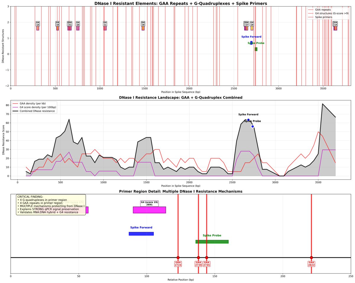 Plasmid map showing quadruplex G + GAA repeats overlaid on Spike region with inhibition mechanisms