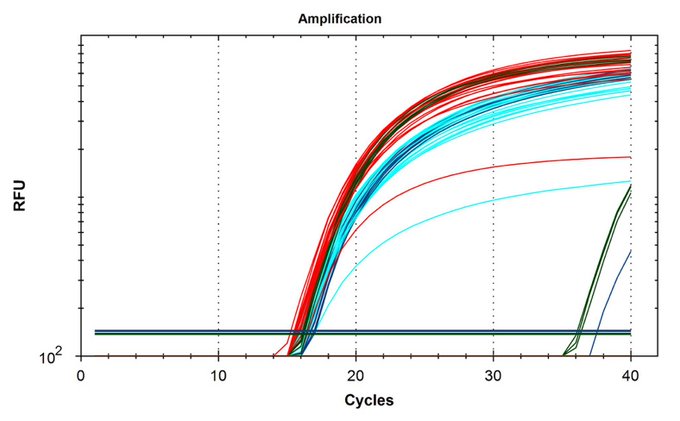 qPCR comparison showing assay blind spot