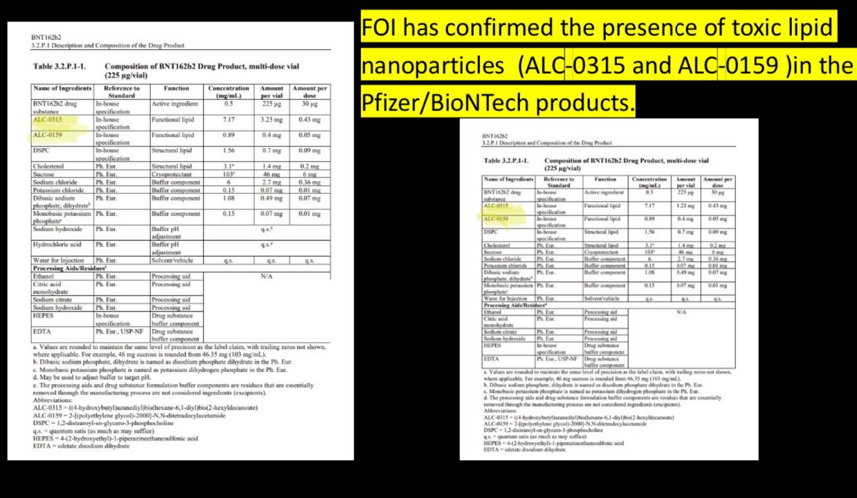 Organ-Specific LNP Distribution Patterns