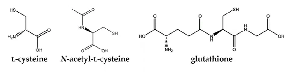 NAC Cysteine Glutathione Structures