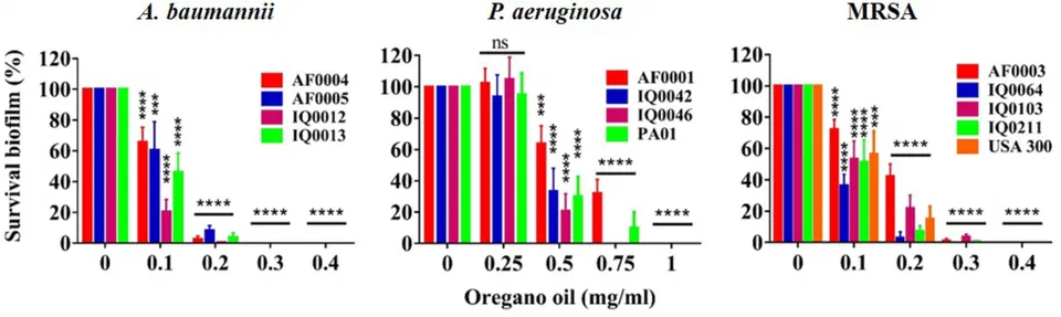 Oregano Biofilm Disruption