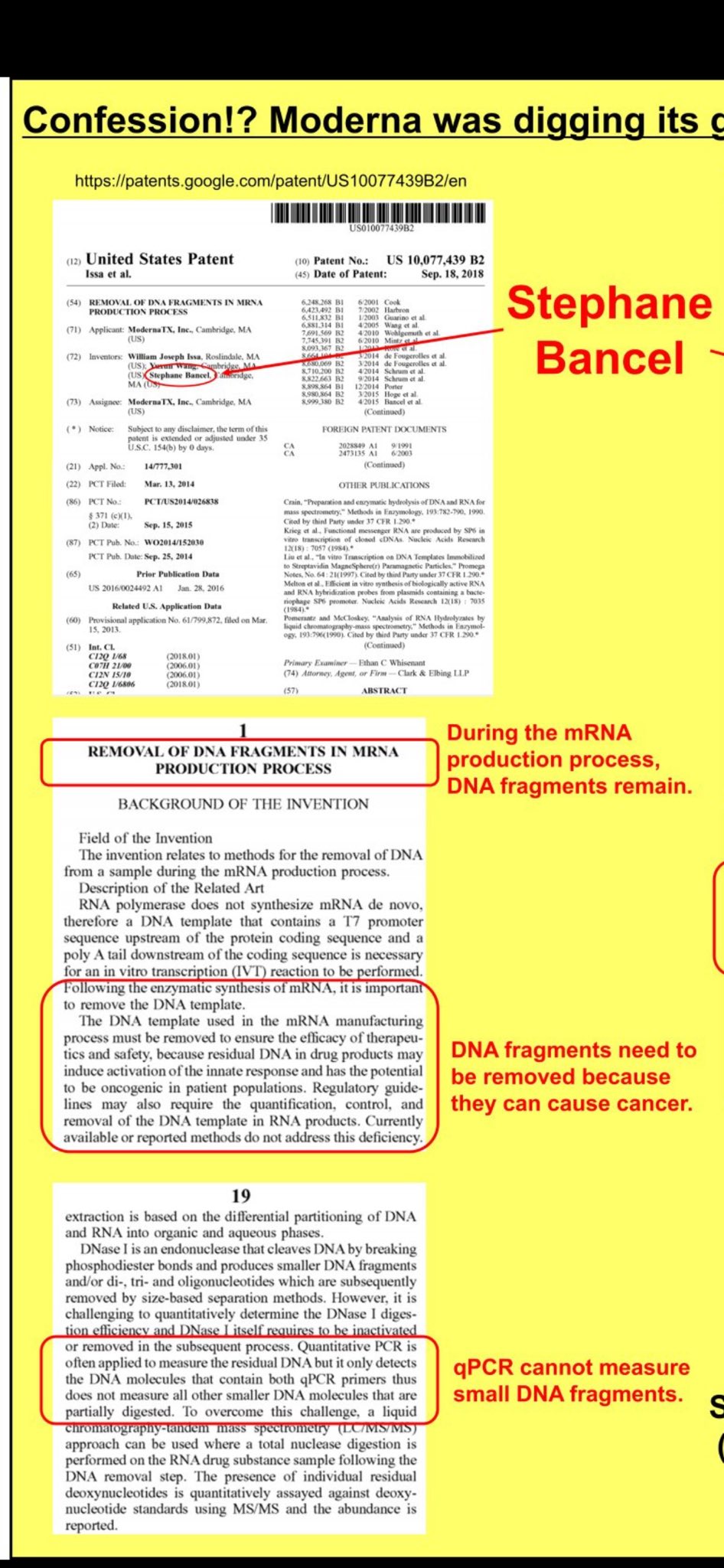 Moderna patent excerpt