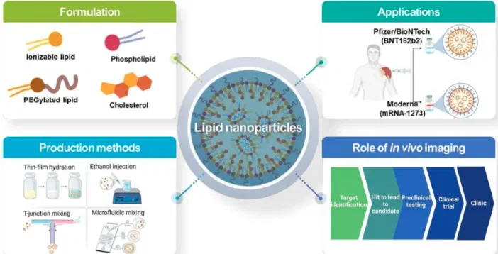 Overall schematic illustration of lipid nanoparticles for delivery of RNA therapeutics