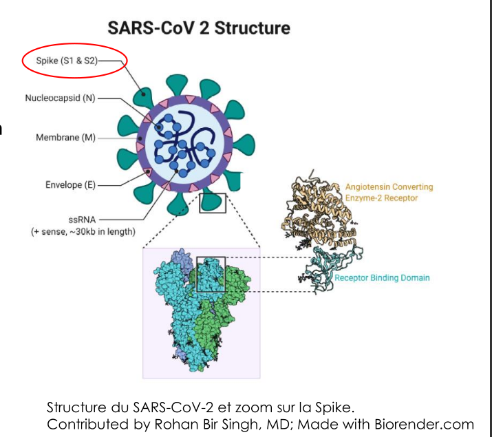 Syringe with blue liquid - symbolic of mRNA injections
