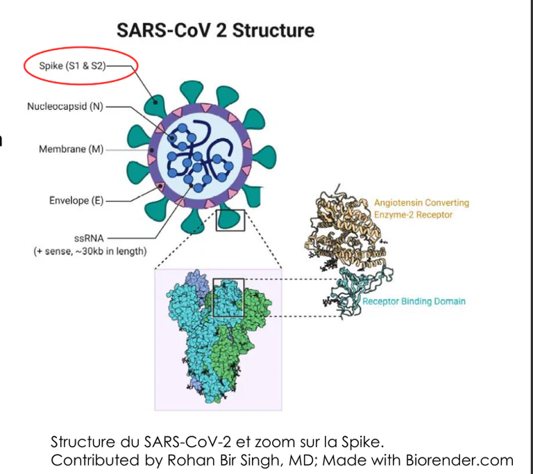 Syringe with blue liquid - symbolic of mRNA injections