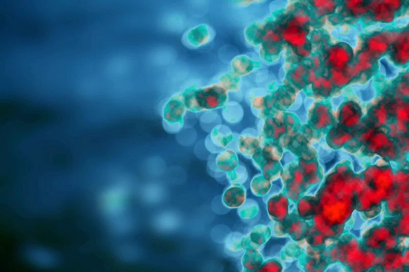 Frontiers in Immunology 2024 mRNA cancer vaccine overview