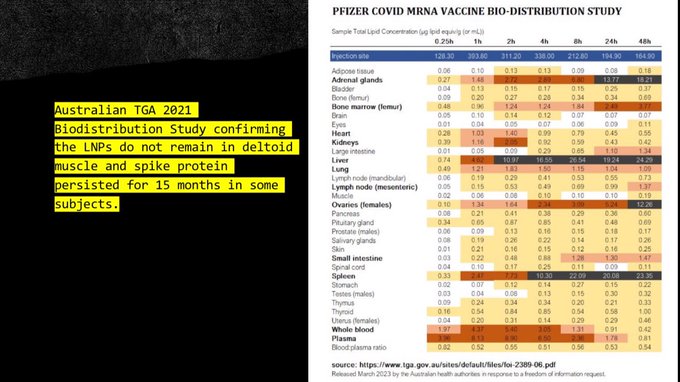 LNP biodistribution showing systemic spread beyond injection site