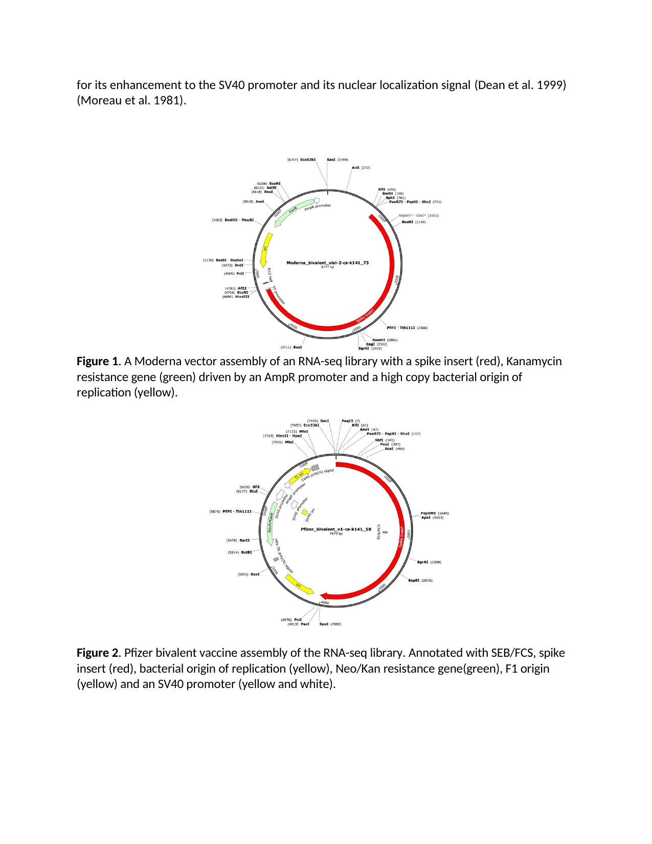 SV40 plasmid map from McKernan et al. showing the SV40 promoter/enhancer region highlighted in context of the full plasmid structure